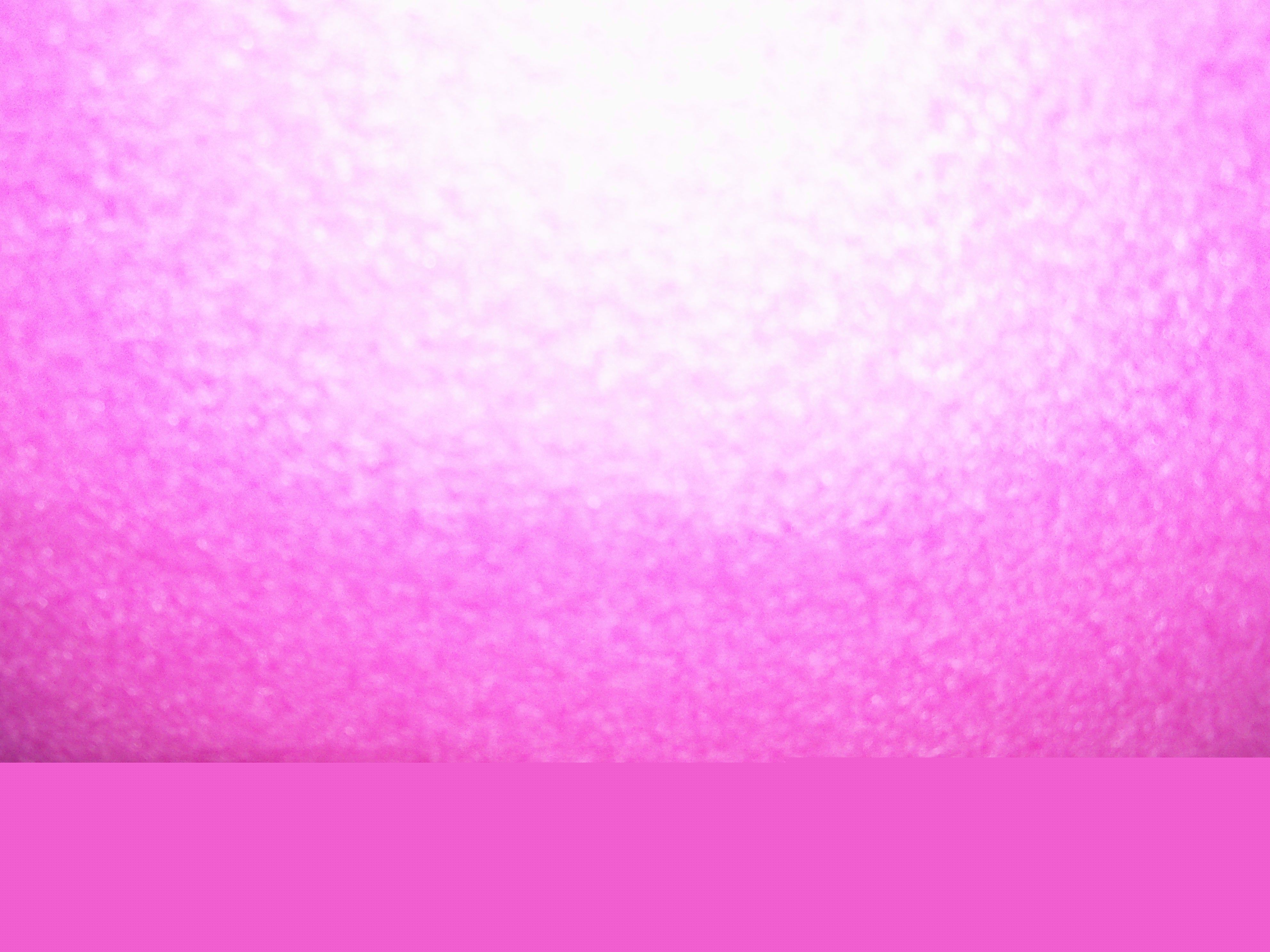 2926.JPG