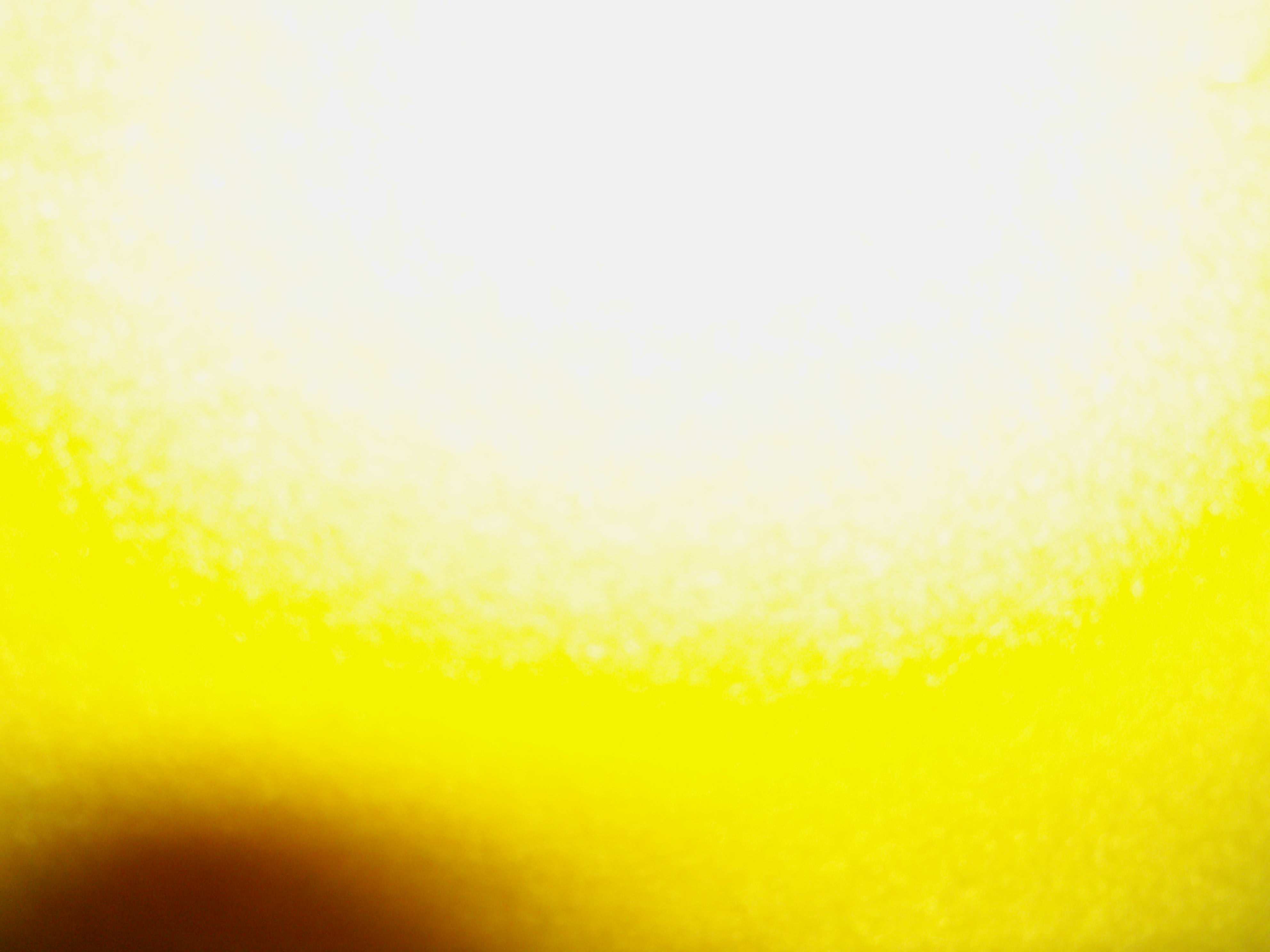 2926.JPG