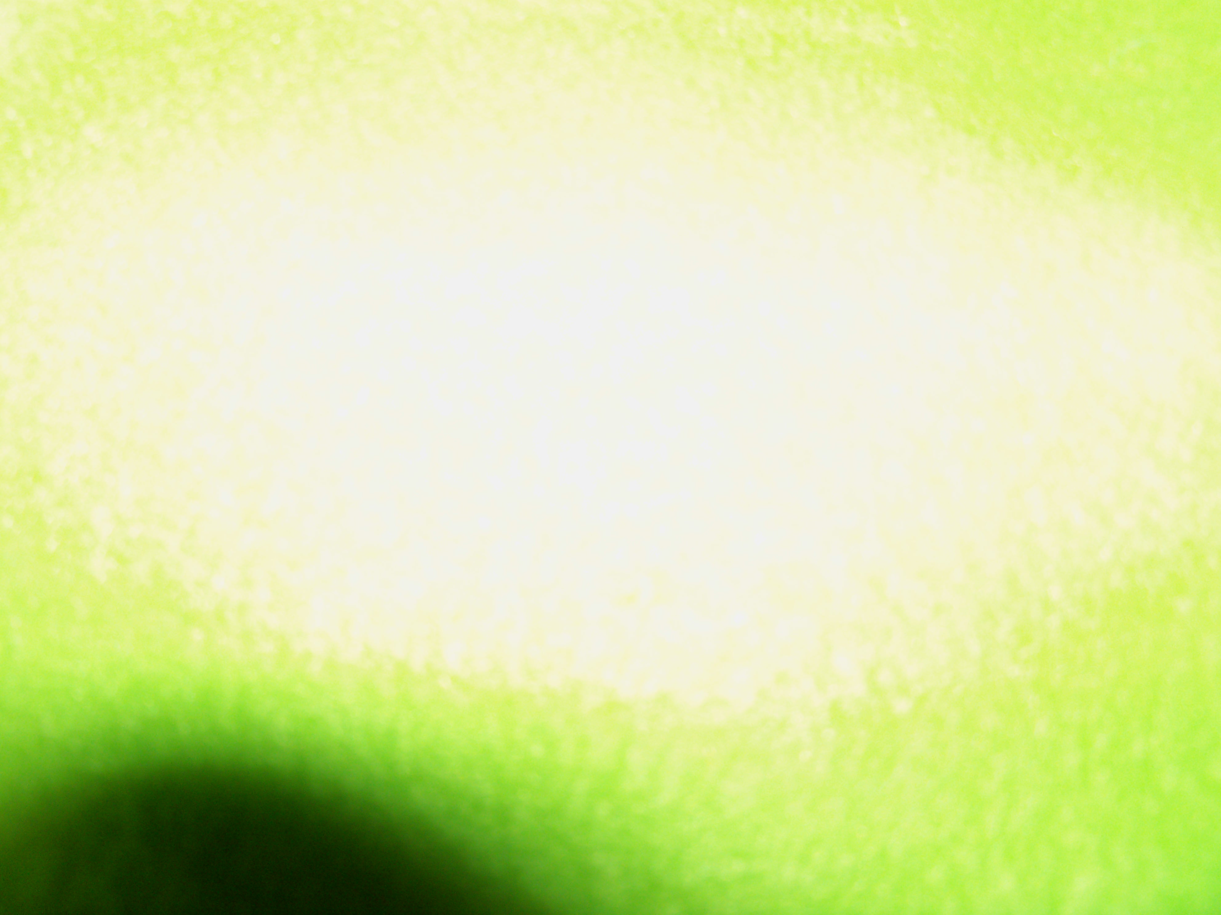 2926.JPG